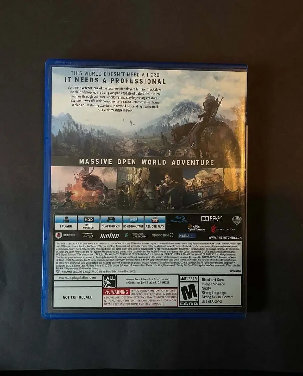 The Witcher 3: Wild Hunt Standard Edition PlayStation 4 Video Game
